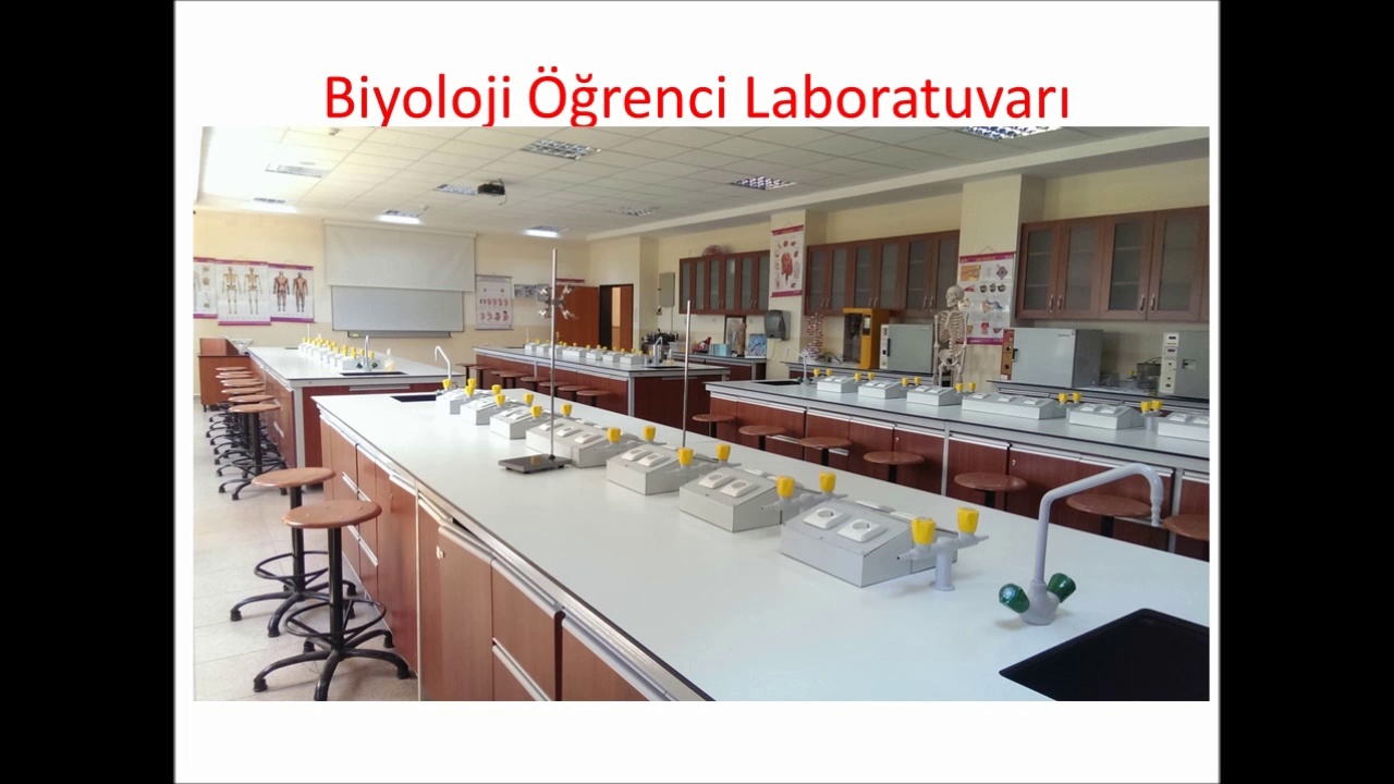Biyoloji Bölümü Laboratuvarı