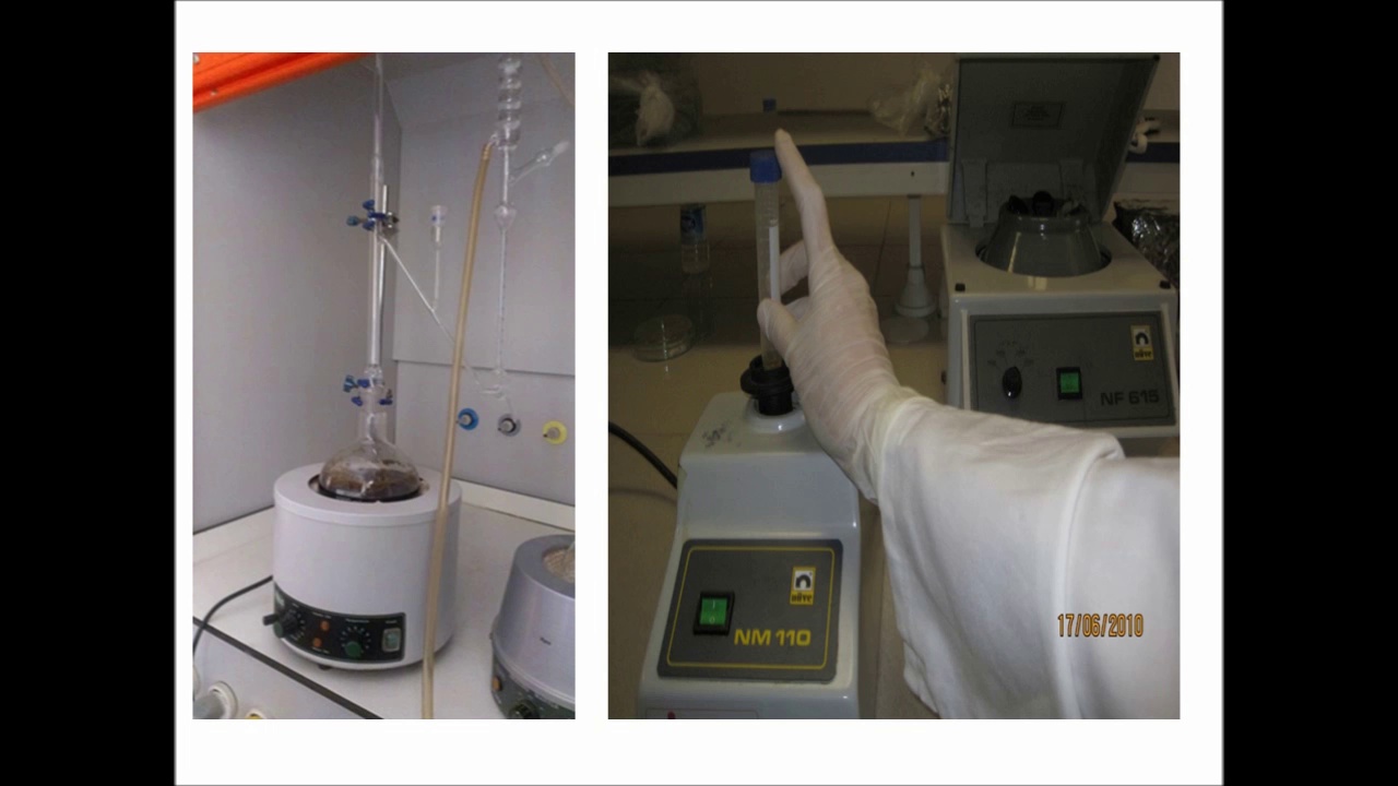 Biyoloji Bölümü Laboratuvarı