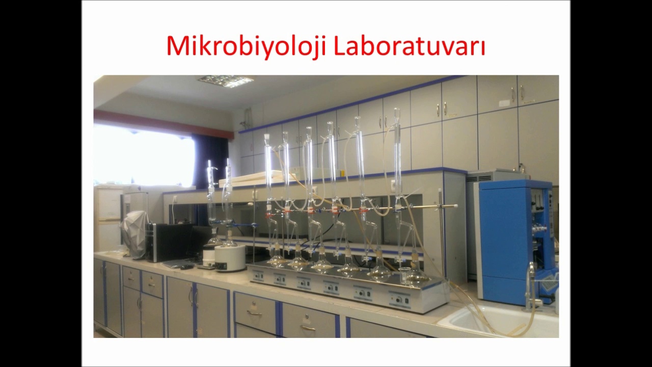 Biyoloji Bölümü Laboratuvarı