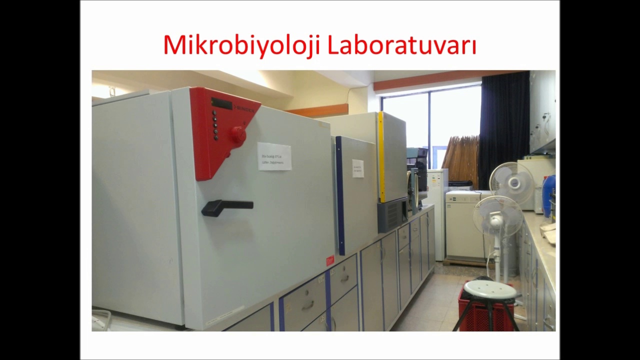 Biyoloji Bölümü Laboratuvarı