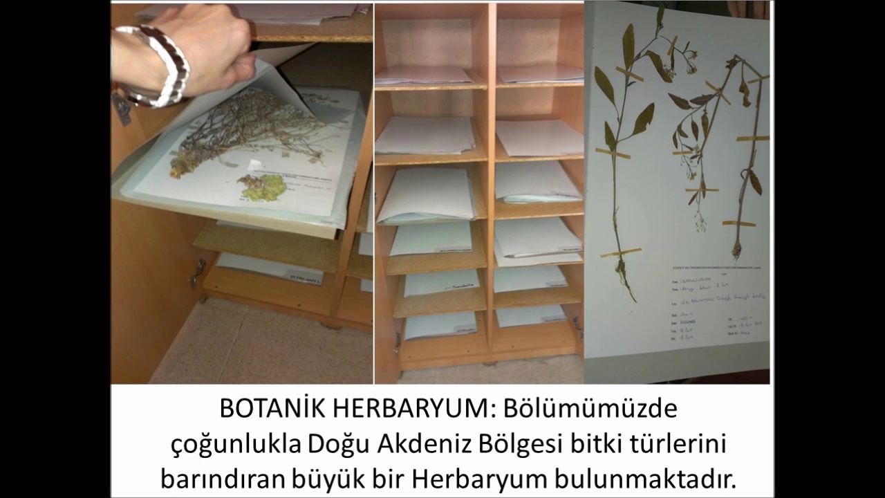 Biyoloji Bölümü Laboratuvarı