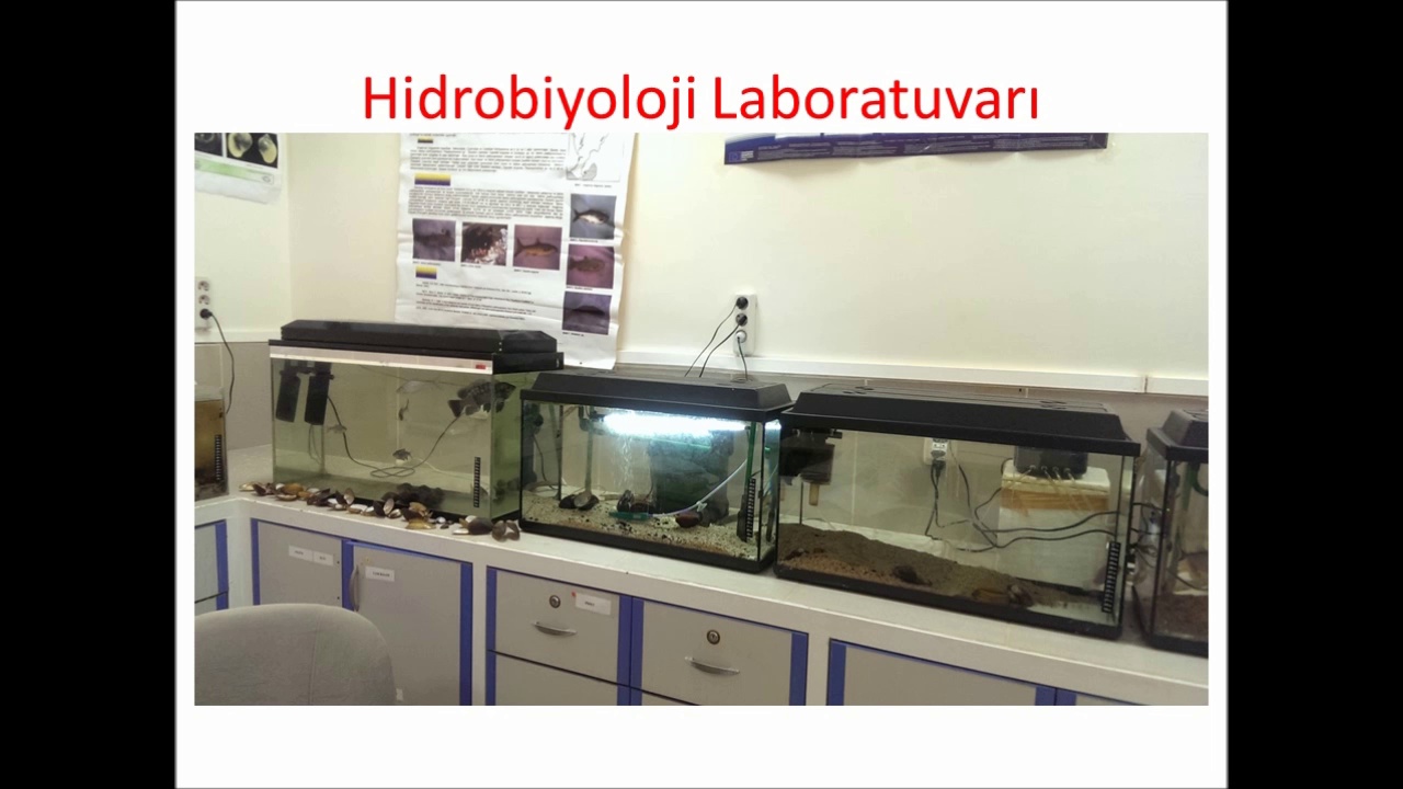 Biyoloji Bölümü Laboratuvarı