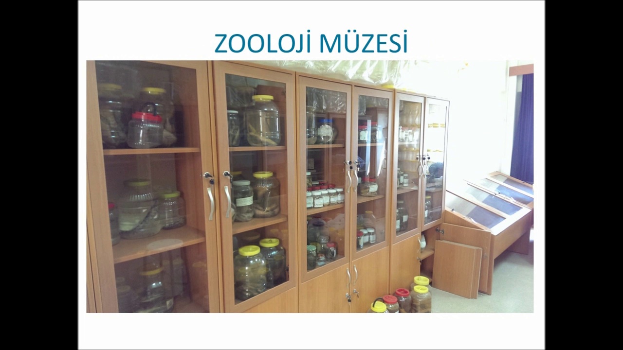 Biyoloji Bölümü Laboratuvarı