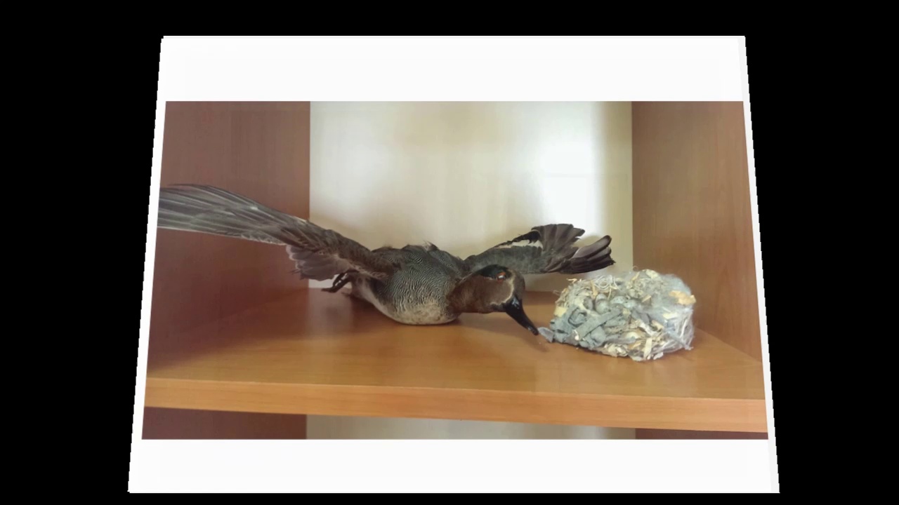 Biyoloji Bölümü Laboratuvarı