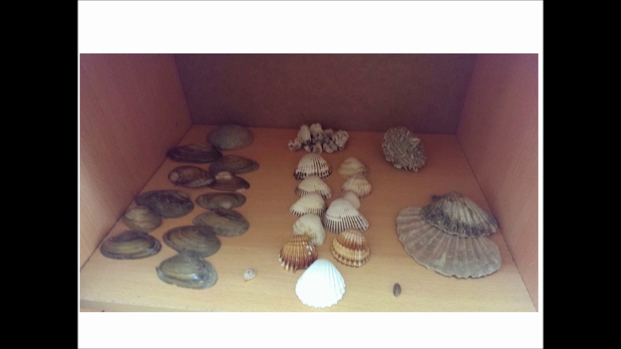 Biyoloji Bölümü Laboratuvarı