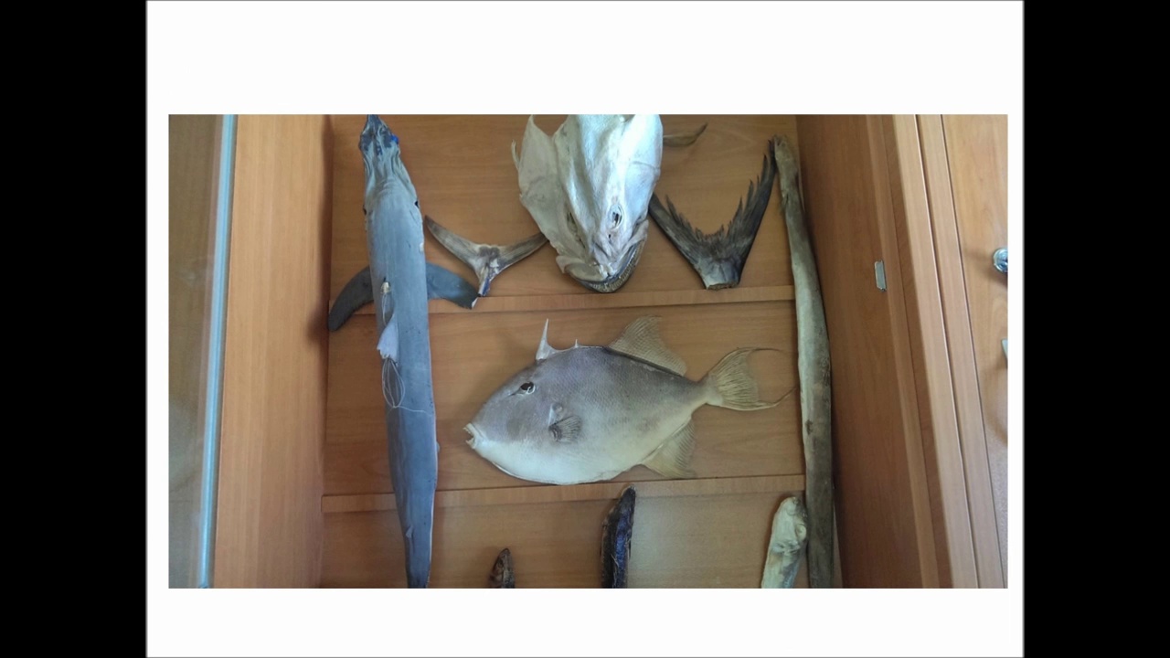 Biyoloji Bölümü Laboratuvarı