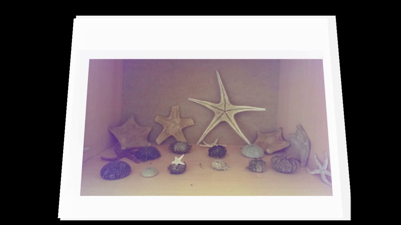 Biyoloji Bölümü Laboratuvarı